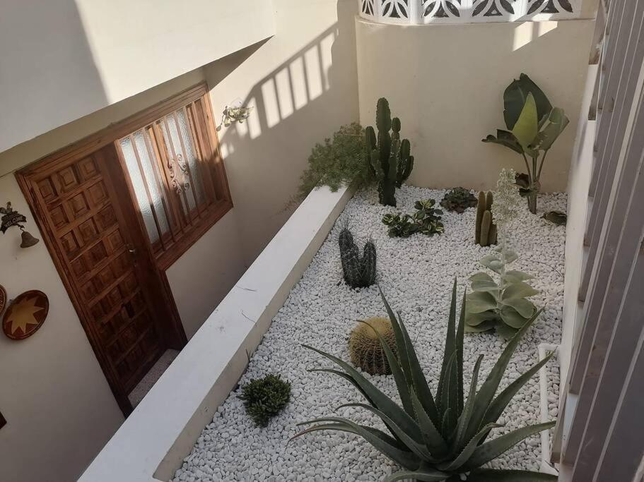 Casa Las Pencas De Margarita 로스 레알레호스 외부 사진